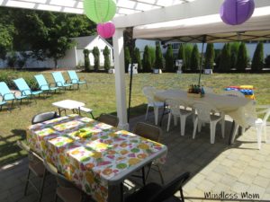 County Fair-themed Birthday Party