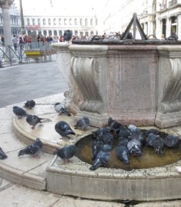 Piazza San Marco in Venice