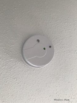 The Ladybug Killer